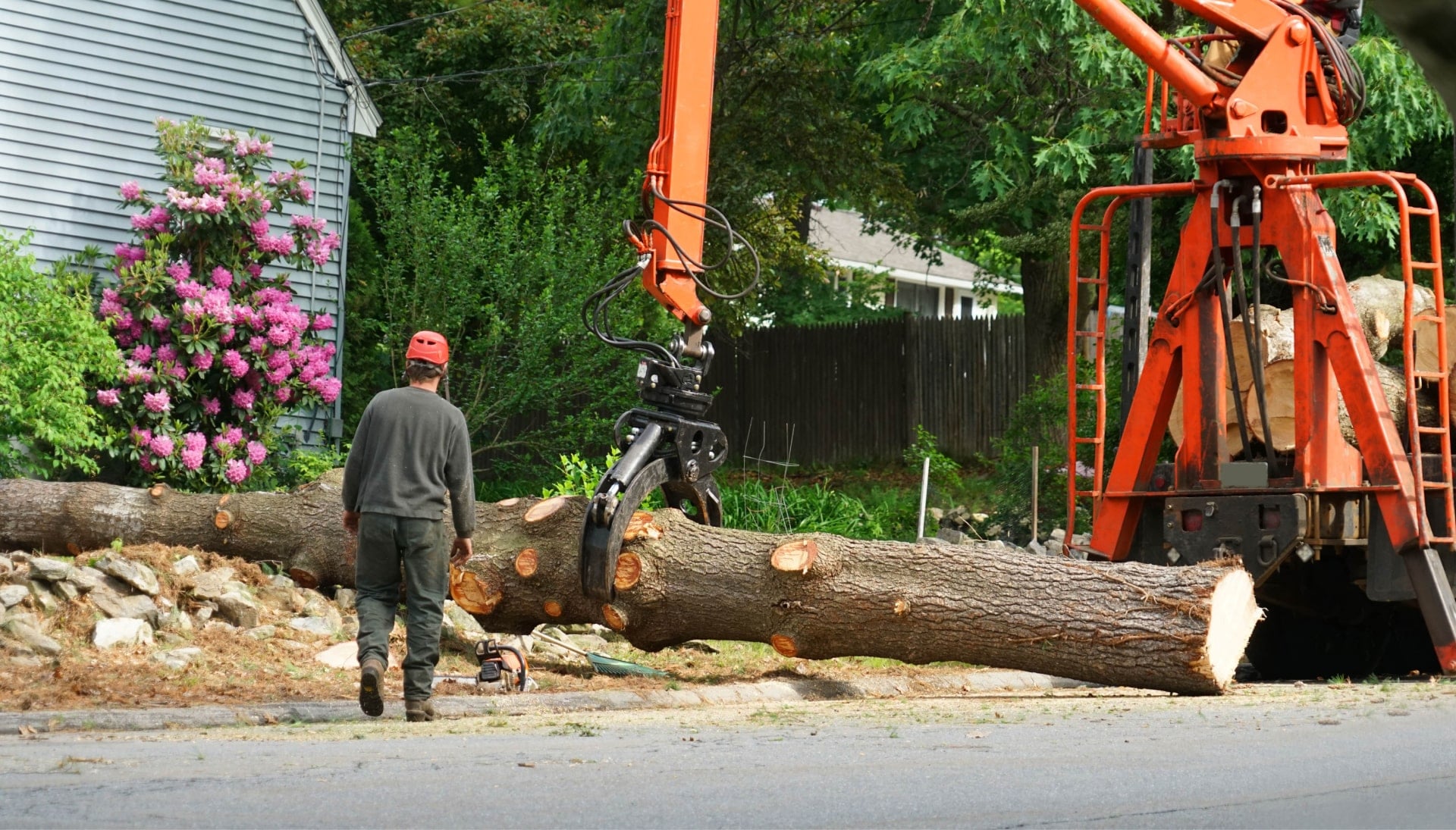 Local partner for Tree removal services in Milford